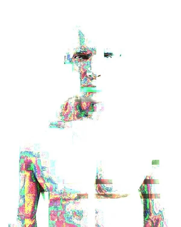 A digital man